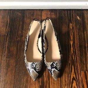 Everlane Editor Slingback Heel - Embossed Snake